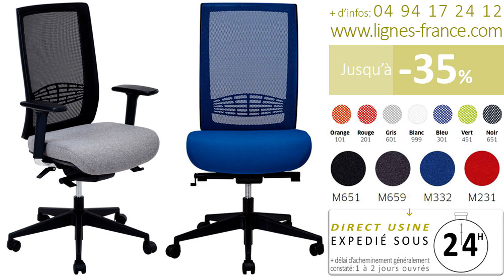 Chaise et fauteuil de bureau ergonomiques synchrone avec soutien lombaire, Ergoplus